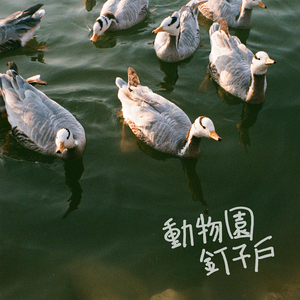 91精品探花国产一二三区
