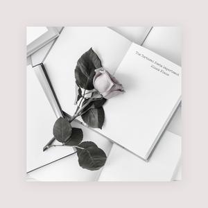 91精品探花国产一二三区
